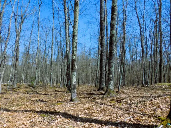 XXXX Polkoski Way, Iron River, WI 54847