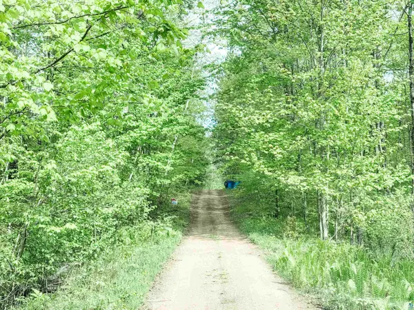 Lot 1 Peterson Rd, Wascott, WI 54859