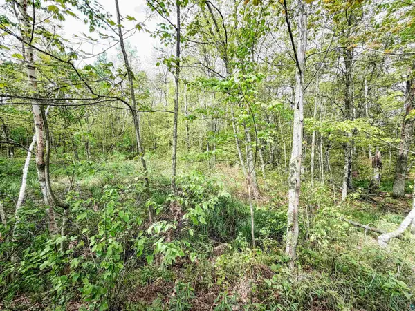 Lot 1 Peterson Rd, Wascott, WI 54859