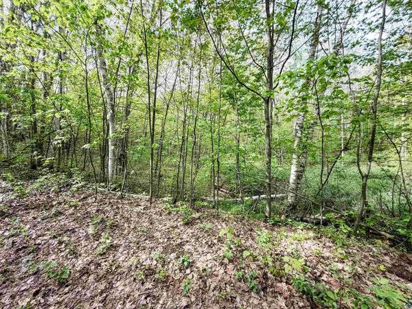 Lot 2 Peterson Rd, Wascott, WI 54859