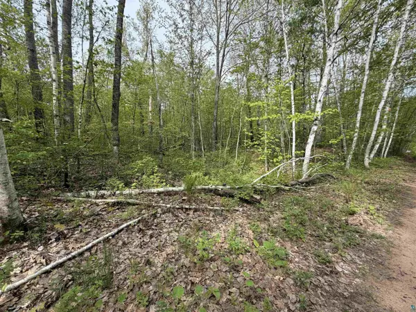 Lot 3 Peterson Rd, Wascott, WI 54859