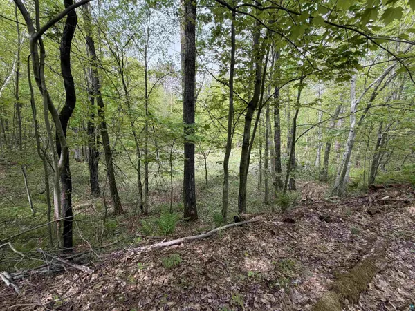 Lot 4 Peterson Rd, Wascott, WI 54859