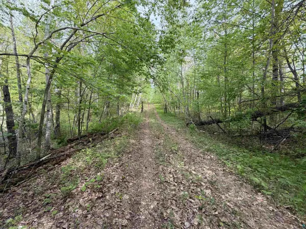 Lot 4 Peterson Rd, Wascott, WI 54859