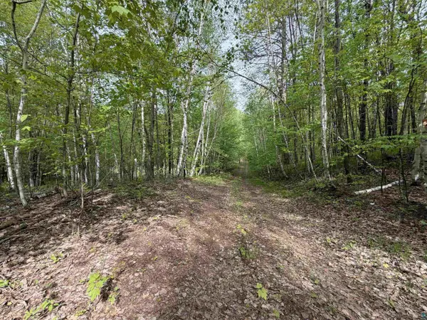 Lot 4 Peterson Rd, Wascott, WI 54859