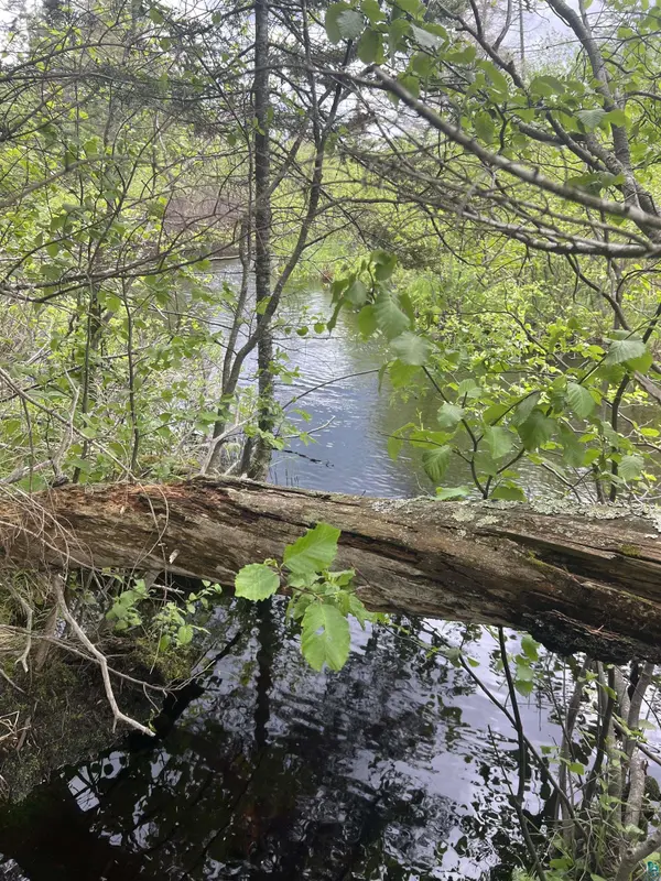 XXX Camp 26 Rd, Finland, MN 55614