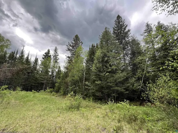 XXX Camp 26 Rd, Finland, MN 55614