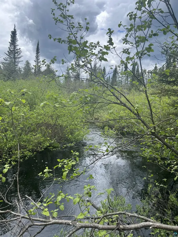 XXX Camp 26 Rd, Finland, MN 55614
