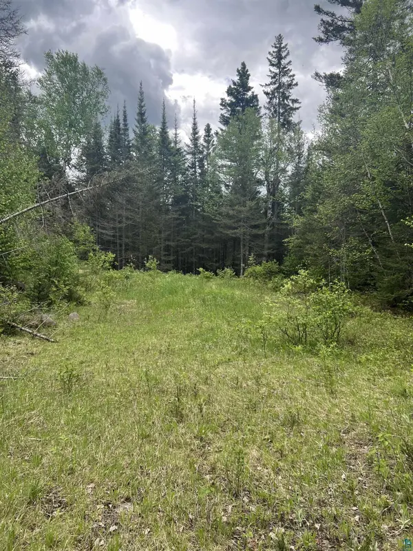 XXX Camp 26 Rd, Finland, MN 55614