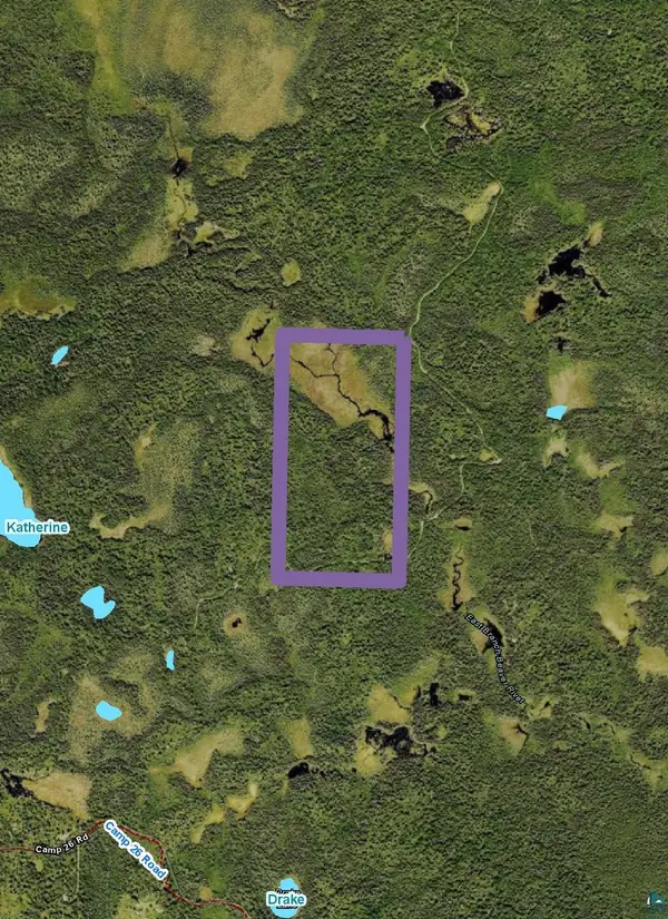 XXX3 Heffelfinger Tr, Finland, MN 55614