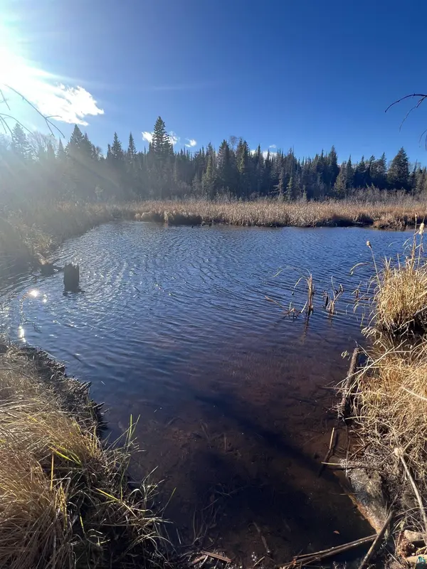 TBD Heffelfinger Tr, Finland, MN 55603