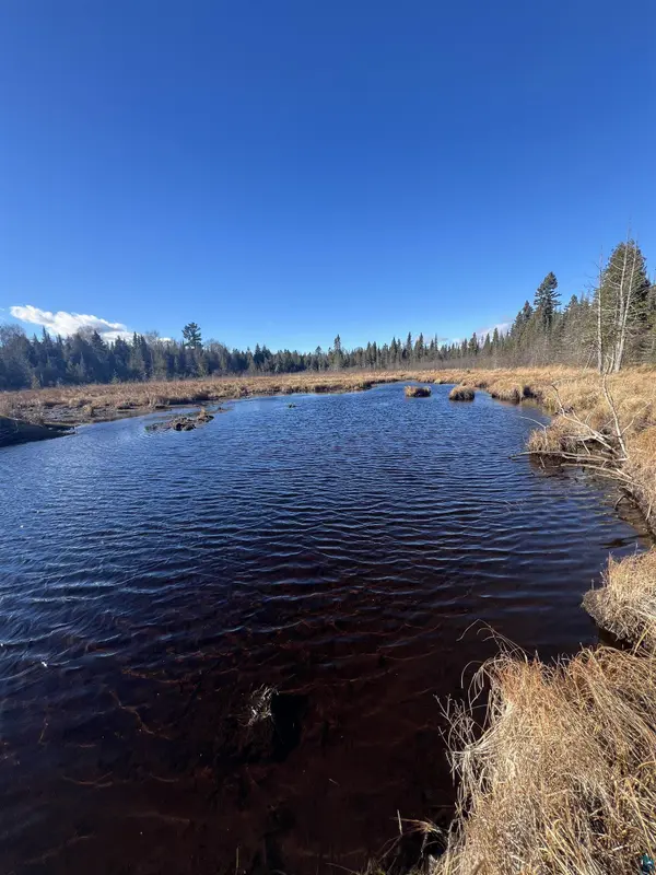 TBD Heffelfinger Tr, Finland, MN 55603