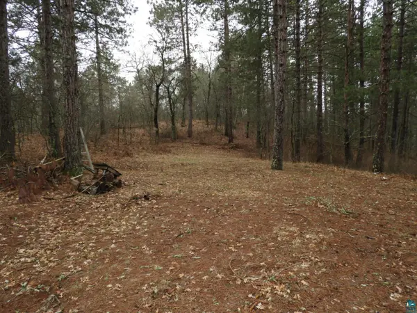 XXXX Wilderness Ct, Barnes, WI 54873