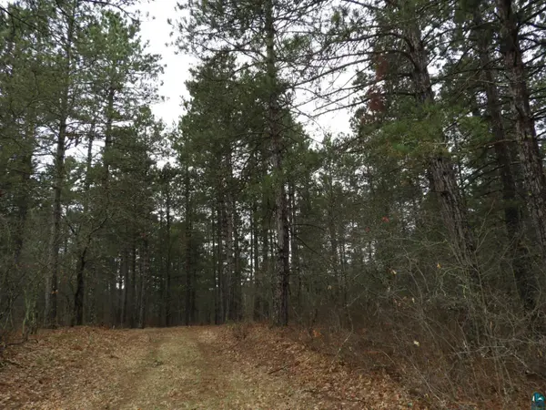 XXXX Wilderness Ct, Barnes, WI 54873