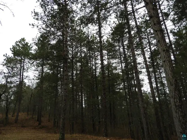 XXXX Wilderness Ct, Barnes, WI 54873