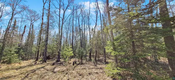 xxx Mondamin Tr, Lapointe, WI 54850