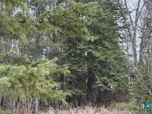TBD 5th St SW, Cook, MN 55723-0000