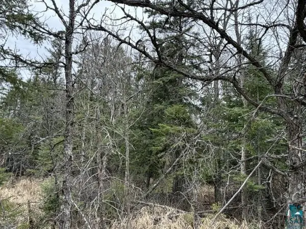 TBD 5th St SW, Cook, MN 55723-0000