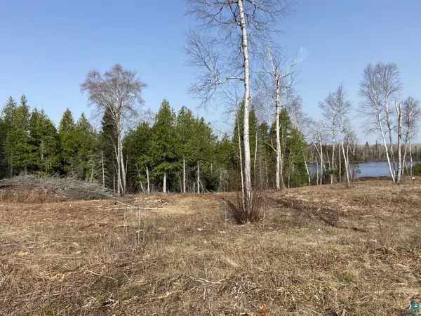1111 S Bear Lake Rd, Brimson, MN 55602