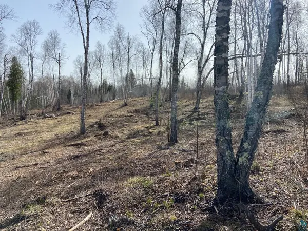 1117 S Bear Lake Rd, Brimson, MN 55602