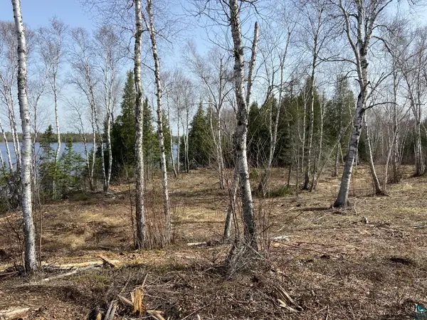 1117 S Bear Lake Rd, Brimson, MN 55602