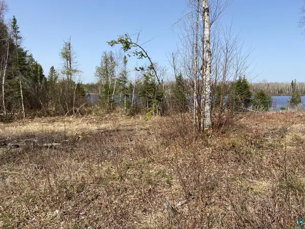 1125 S Bear Lake Rd, Brimson, MN 55602