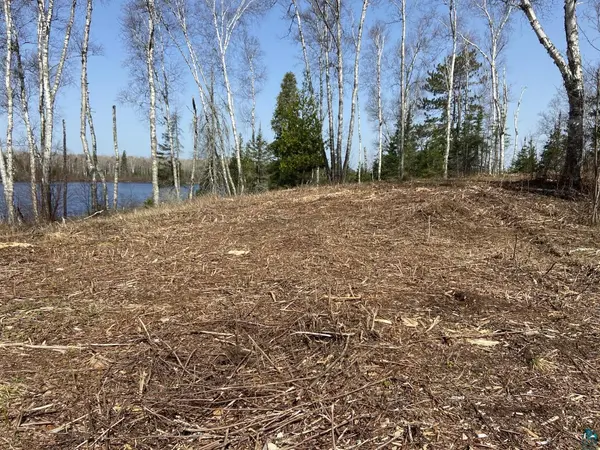 1135 S Bear Lake Rd, Brimson, MN 55602