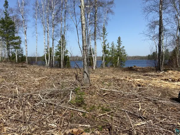 1199 S Bear Lake Rd, Brimson, MN 55602