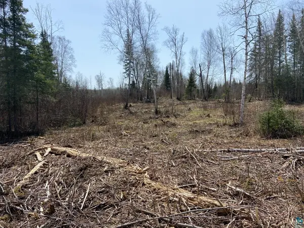1215 S Bear Lake Rd, Brimson, MN 55602