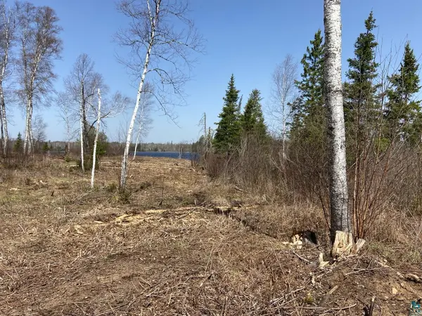 1215 S Bear Lake Rd, Brimson, MN 55602