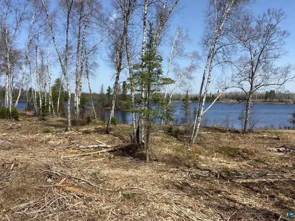 1223 S Bear Lake Rd, Brimson, MN 55602