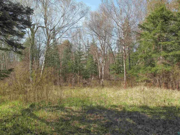 YYY Big Cedar Trl, Lutsen, MN 55612
