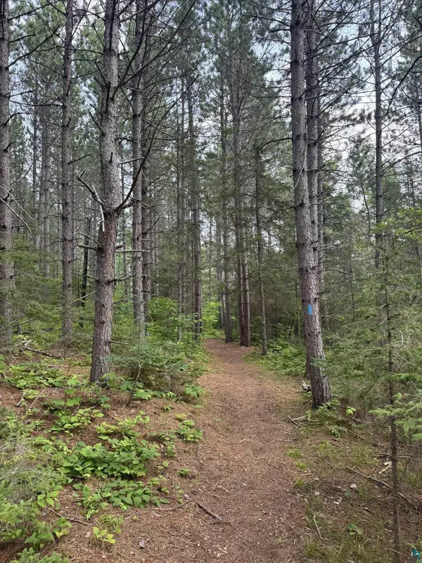 XX High Ridge Dr, Schroeder, MN 55614