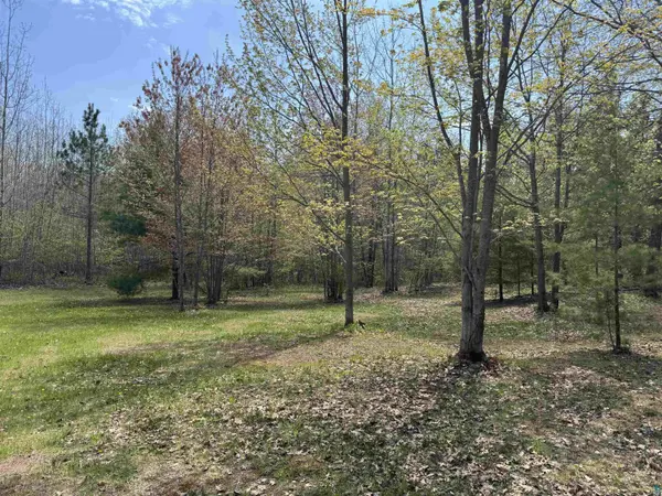 8315 Half Moon Lake Dr, Iron River, WI 54847