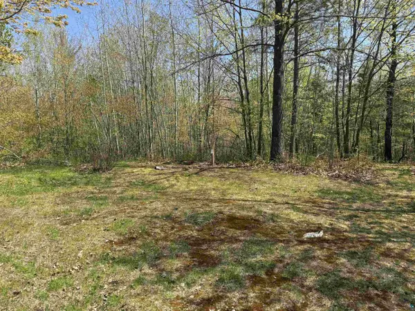 8315 Half Moon Lake Dr, Iron River, WI 54847