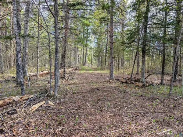 992 Nemadji River Rd, Holyoke, MN 55749