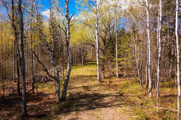 49xx Morris Thomas Rd, Hermantown, MN 55811