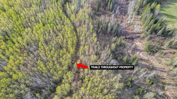 296X S Amnicon River Rd, South Range, WI 54874