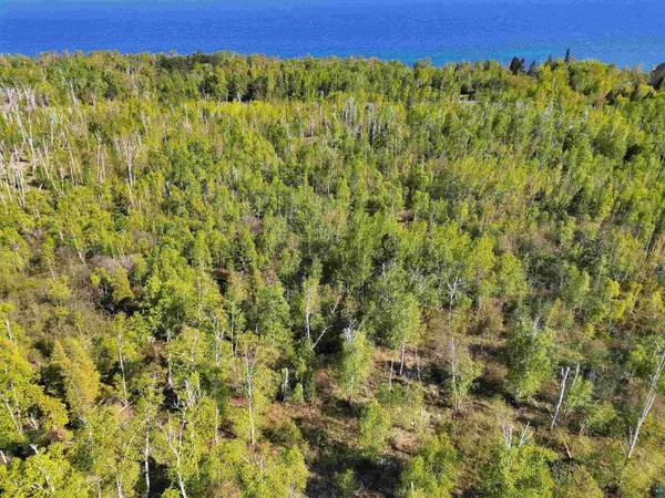 9223 Hwy 61 W, Schroeder, MN 55613