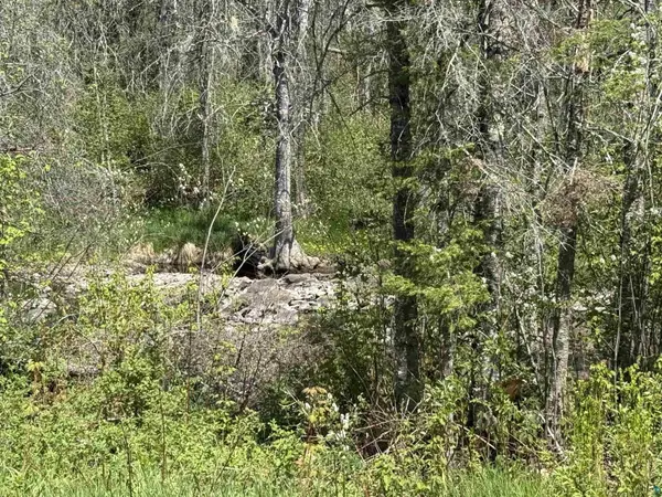 TBD Crown Creek Spur Rd, Finland, MN 55603