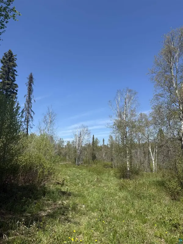TBD Crown Creek Spur Rd, Finland, MN 55603