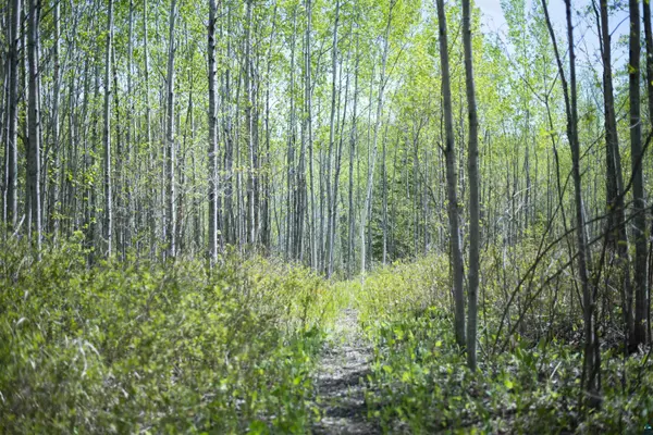 13 Coyote Ridge, Grand Marais, MN 55604