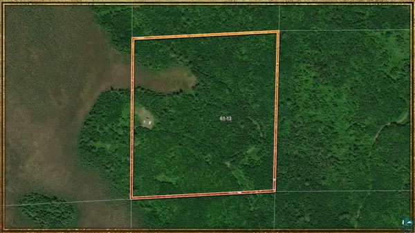 TBD Muckwa Lake Rd, Babbitt, MN 55706