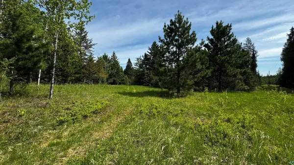 TBD-B Hwy 169, Virginia, MN 55792