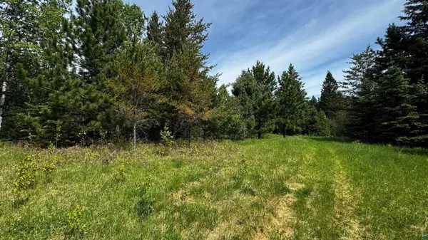 TBD-B Hwy 169, Virginia, MN 55792