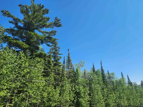 15X Ski Hill Rd, Lutsen, MN 55612