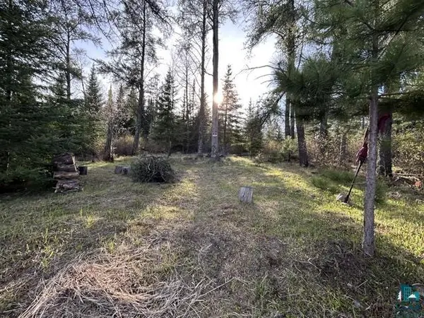 TBD Moonlit Island, Makinen, MN 55763