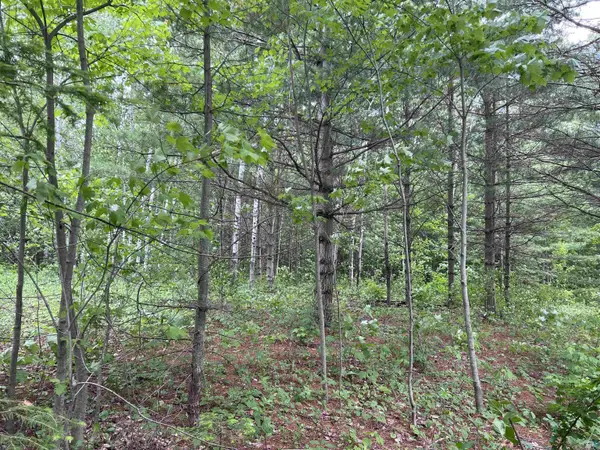 xxx Rice Ave, Bayfield, WI 54814