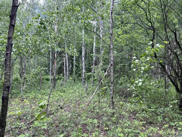 xxx Rice Ave, Bayfield, WI 54814