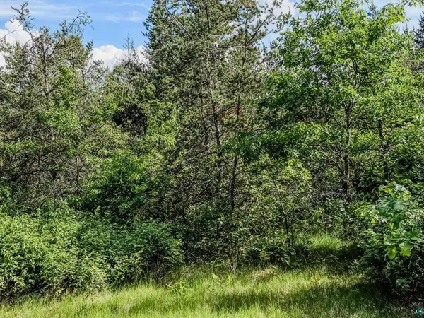 0 County Hwy Y, Gordon, WI 54838