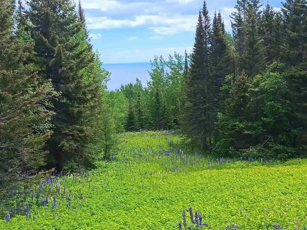 871 Gunflint Tr, Grand Marais, MN 55604